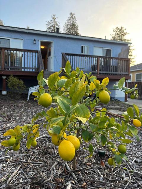 2260 Romey Lane, Hayward CA: https://media.crmls.org/mediaz/057cc411-ec70-4fcb-ada6-e004a17ff4d7.jpg