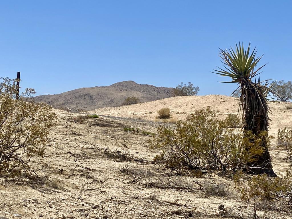 MLS #219134434PS image #6