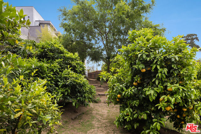 5751 Valley Oak Drive, Los Angeles CA: https://media.crmls.org/mediaz/0585e56c-2cc4-4333-9a24-71ce7b4dac36.jpg