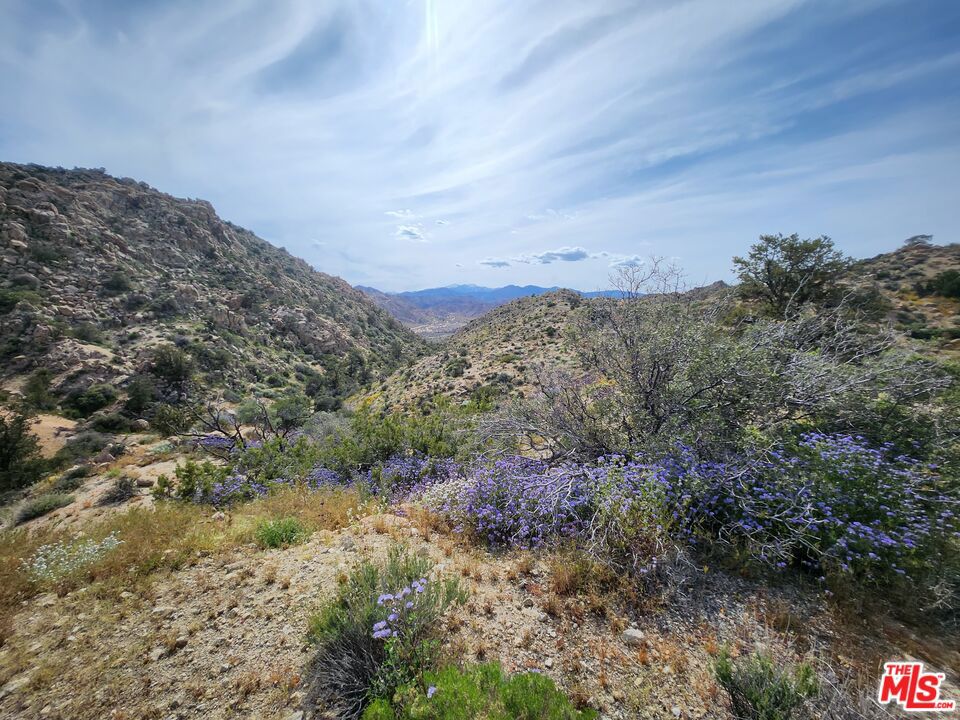 MLS #23291589 image #4