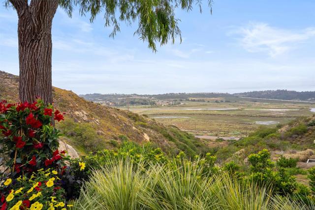 3334 Caminito Cabo Viejo, Del Mar CA: https://media.crmls.org/mediaz/058de04d-eeb7-4613-92c4-cd24e80b26c0.jpg