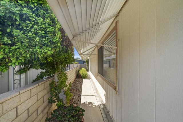 029_SIde Yard