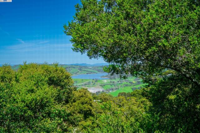 351 El Toyonal, Orinda CA: https://media.crmls.org/mediaz/05ad30a5-a80e-49f8-b420-6e8141c87253.jpg