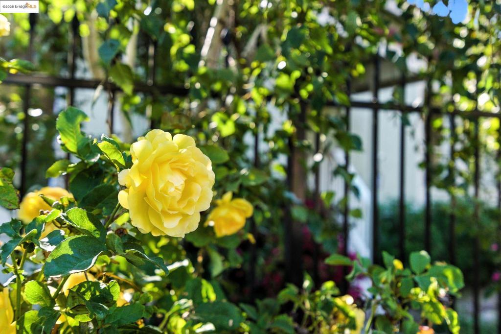 https://media.crmls.org/mediaz/05af2766-d34e-4b55-bc6a-07d10baa1df8.jpg?preset=X-Large