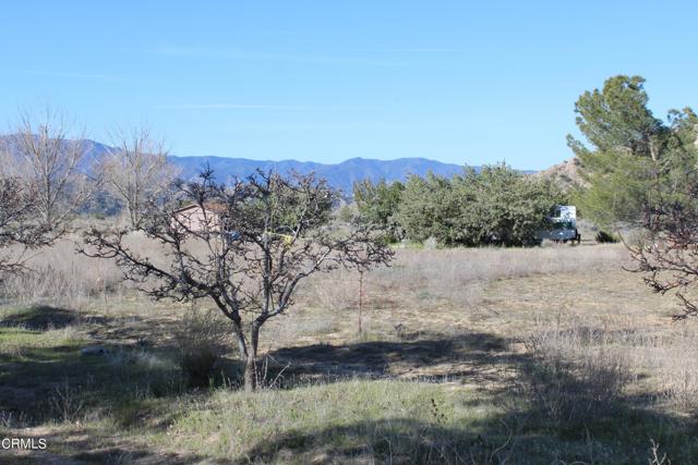 Detail Gallery Image 28 of 41 For 4190 Quatal Canyon Rd, Maricopa,  CA 93252 - – Beds | – Baths