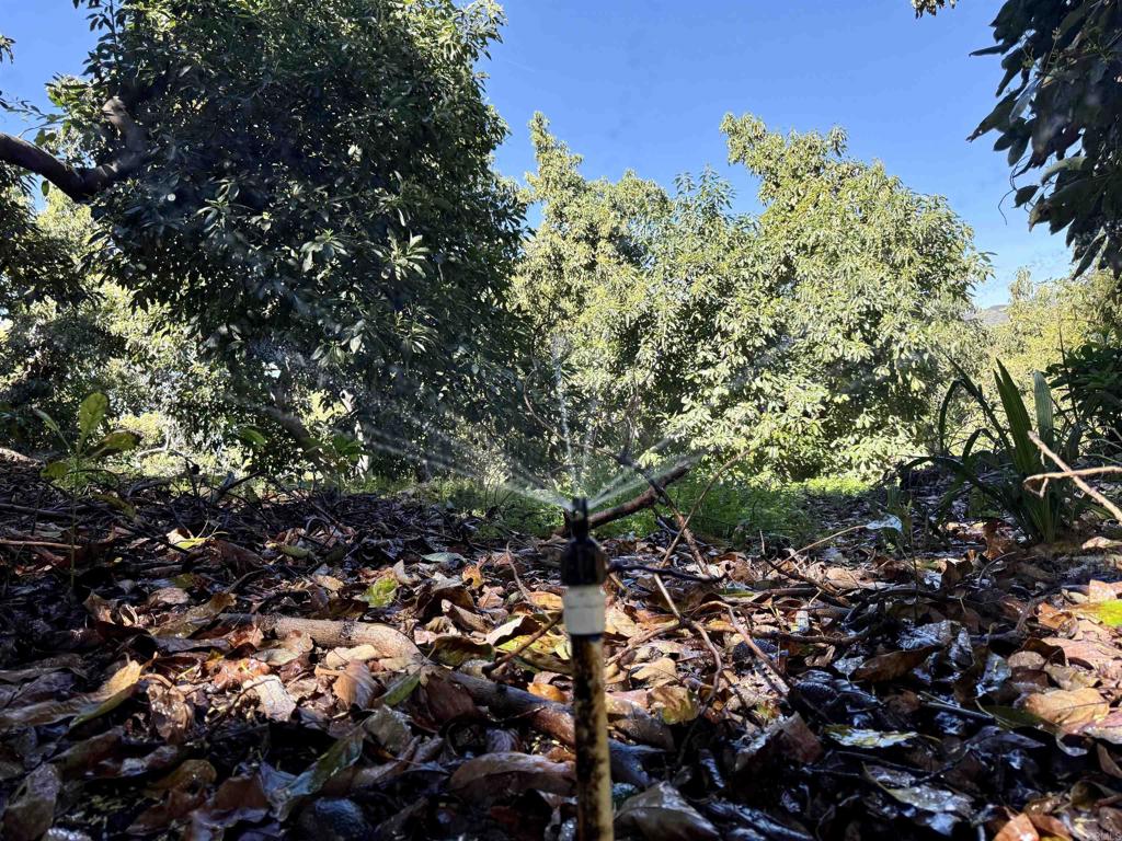 3160 Slivkoff Drive - photo 8