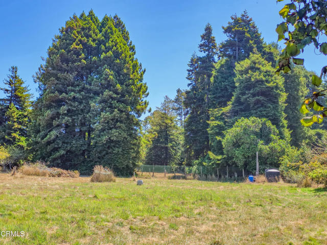 Detail Gallery Image 15 of 31 For 21601 Hellman Ln, Fort Bragg,  CA 95437 - 3 Beds | 1 Baths