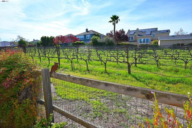 Image 43 of 59 For 2221 Leccino Ct