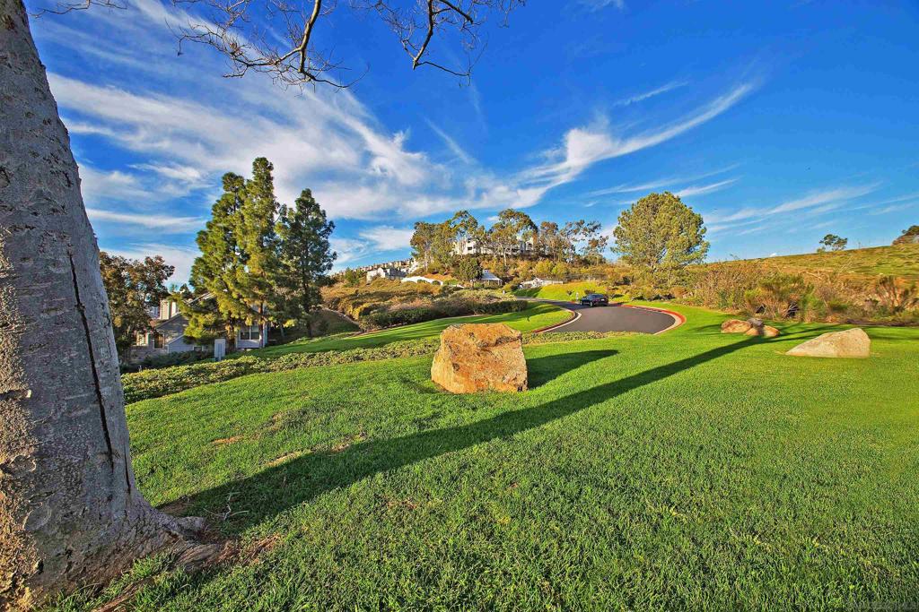 MLS #250031714SD img 17