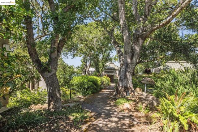 12688 Brookpark Road, Oakland CA: https://media.crmls.org/mediaz/05eed8a9-a0ee-4d12-b784-b0e3026f1413.jpg