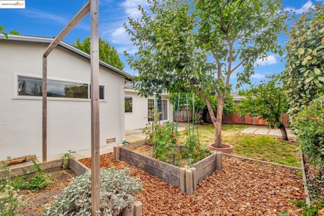 669 Minerva St, Hayward CA: https://media.crmls.org/mediaz/05f549bf-ac2c-4b81-a446-e36ef79644f0.jpg