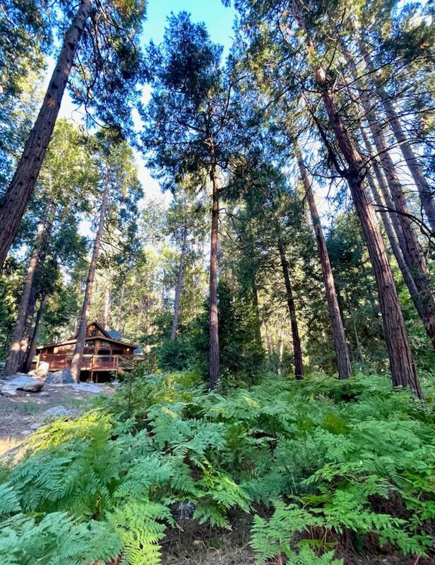 26299 Tahquitz Drive, Idyllwild CA: https://media.crmls.org/mediaz/06055733-09be-48b4-90dc-a69eabf10639.jpg