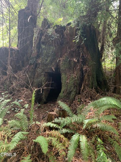 Detail Gallery Image 36 of 41 For 23501 Branscomb Rd, Westport,  CA 95488 - – Beds | – Baths