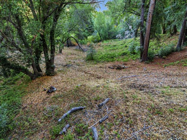 12 Montecito Road, Woodside CA: https://media.crmls.org/mediaz/0615a039-51ec-4142-8834-ec4558840fbe.jpg