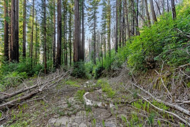 21200 Big Basin Way, Boulder Creek CA: https://media.crmls.org/mediaz/061607e1-d62e-4570-be25-bc89c77eea6f.jpg