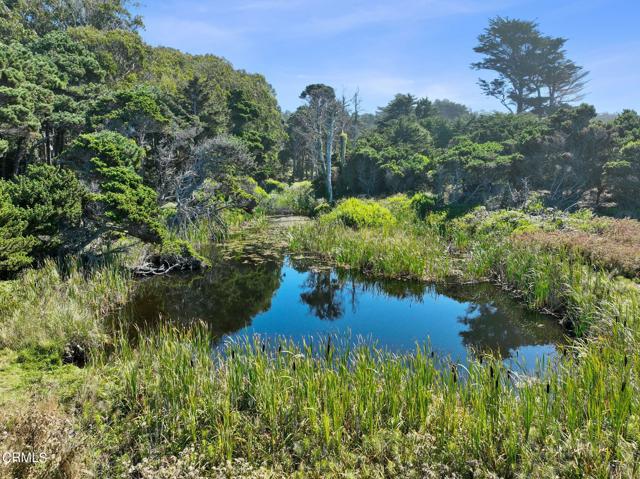 17290 Ocean Drive, Fort Bragg, California 95437, ,Land,For Sale,17290 Ocean Drive,CRC1-10376