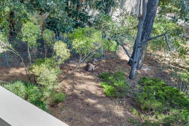 6 Stratford Place, Monterey CA: https://media.crmls.org/mediaz/061a7bf4-86be-4fff-a616-8d367cd99540.jpg