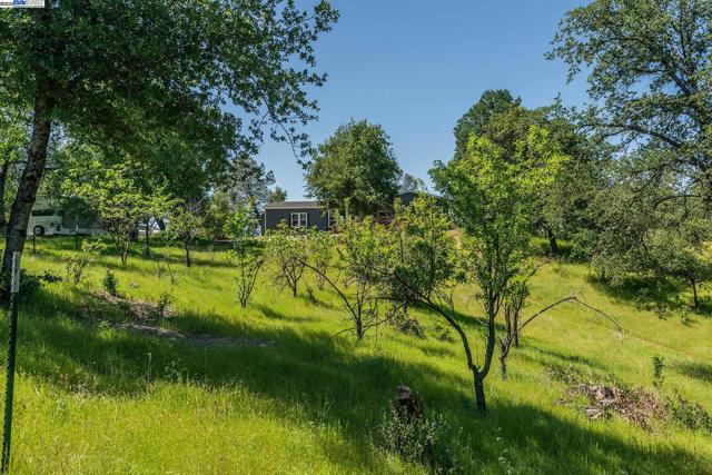 21679 Squaw Grass Trail, Redding CA: https://media.crmls.org/mediaz/0623d2e4-200d-4b61-a3e6-8341743db250.jpg