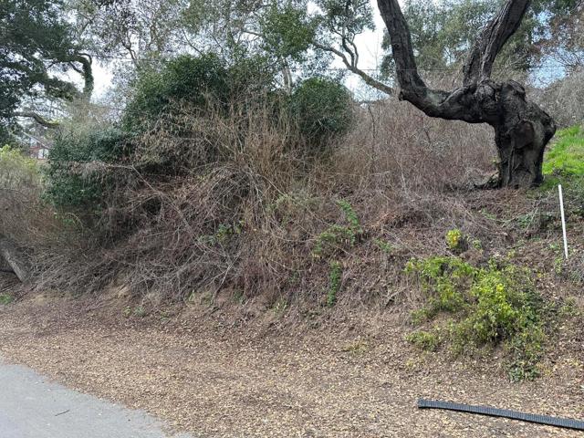 0 Encino Drive, Aptos CA: https://media.crmls.org/mediaz/062e29ca-a735-46df-ba34-39ac9391b99d.jpg