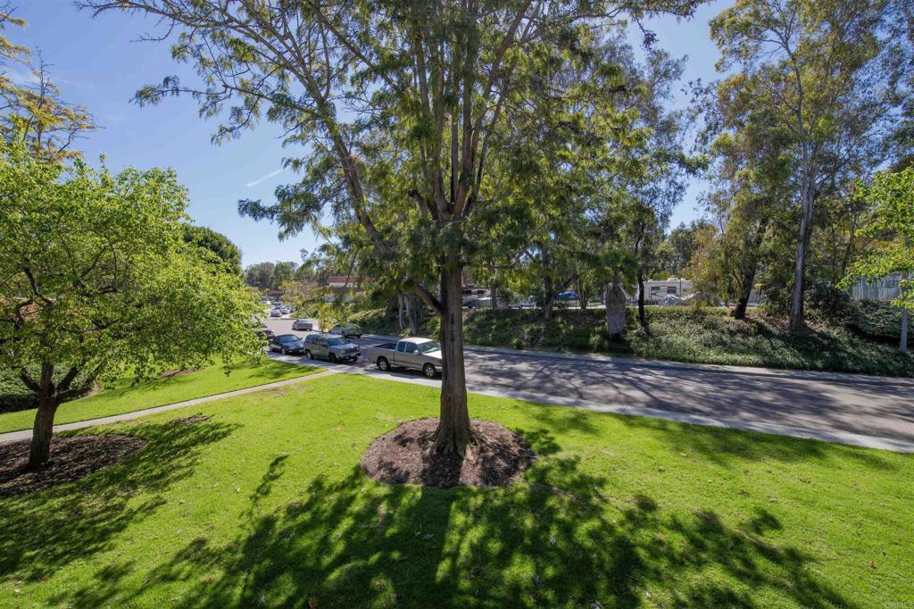 2925 Via Libertad - photo 17