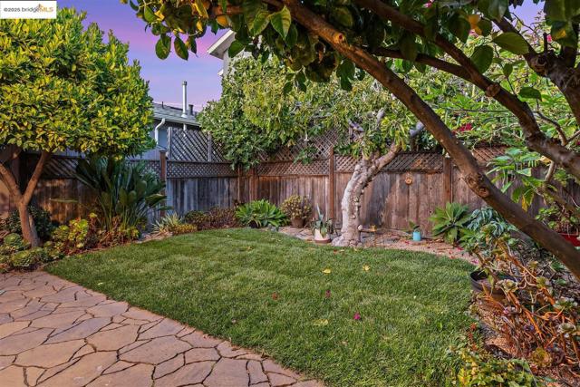 View of fenced backyard