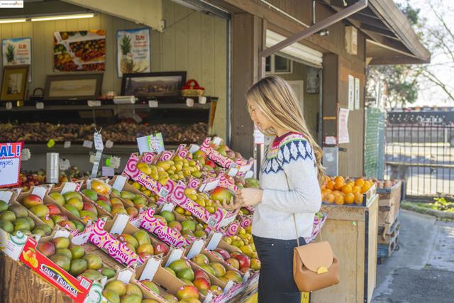 Image 12 of 15 For 500 Somi Ct.  307