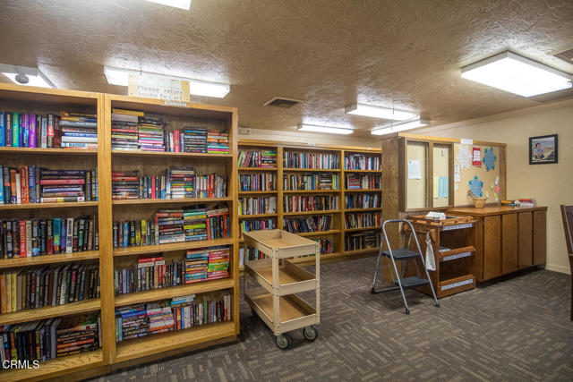 MLS #V1-33273 image #48