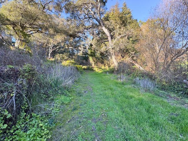 2603 Monterey Avenue, Soquel CA: https://media.crmls.org/mediaz/0641d556-1dff-4308-a600-01e43ceccdd2.jpg