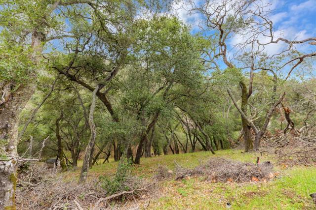 3005 Tohara Way, Morgan Hill CA: https://media.crmls.org/mediaz/0647f3b2-1fcf-4023-af96-ee87ac24bb2a.jpg