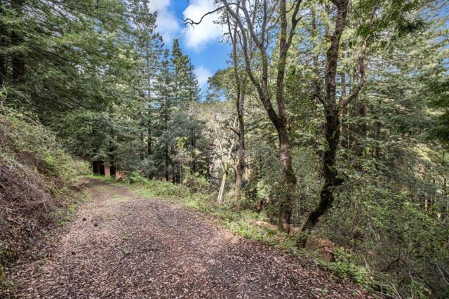 601 Old Hazel Dell Road, Watsonville CA: https://media.crmls.org/mediaz/0662ad7c-eae1-462f-add0-c4a0ecd64669.jpg