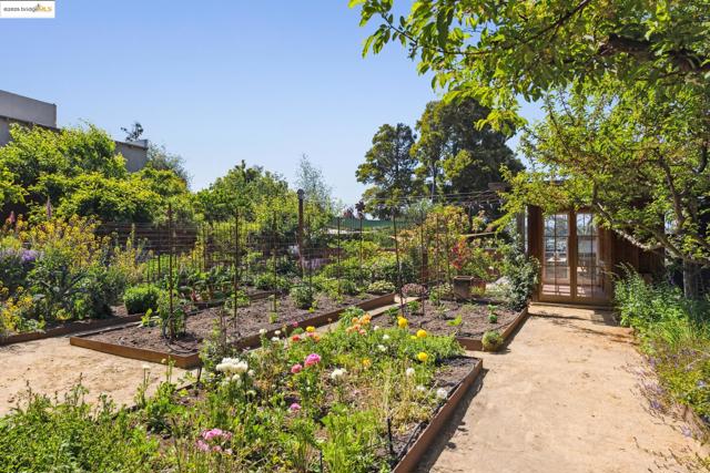 1015 Warfield Ave, Oakland CA: https://media.crmls.org/mediaz/0663db67-784e-41ef-9889-88eb69382205.jpg
