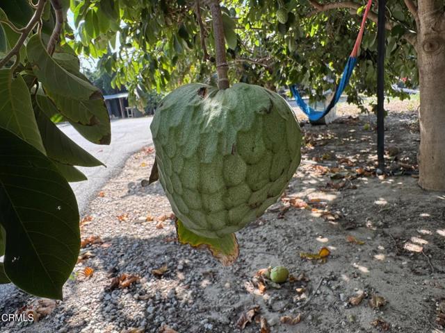 Detail Gallery Image 22 of 39 For 7907 Balcom Canyon Rd, Somis,  CA 93066 - – Beds | – Baths