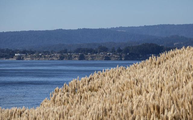 117 Seascape Resort Drive, Aptos CA: https://media.crmls.org/mediaz/0669a8da-0ae2-4685-991f-cb731c50b19d.jpg