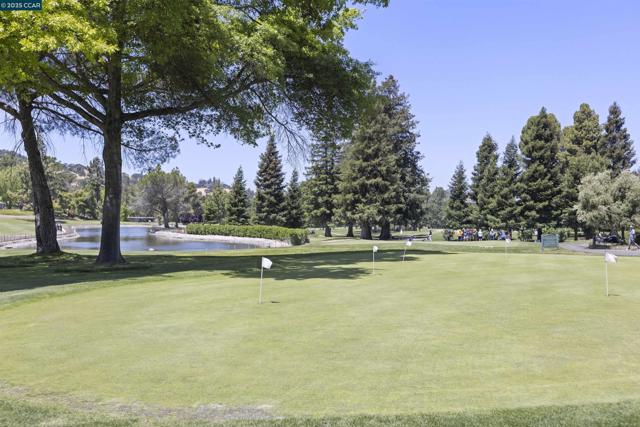 1285 Avenida Sevilla, Walnut Creek CA: https://media.crmls.org/mediaz/066ebc4e-2090-4b5c-ae5e-f0cdda27433e.jpg