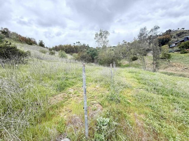0 Alex Road, Fallbrook CA: https://media.crmls.org/mediaz/066f2eaf-5d1f-41c8-b0f6-a9cf62e8cd00.jpg