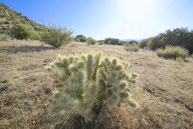 0 Minna Gombell Lane, Pioneertown CA: https://media.crmls.org/mediaz/0670d53b-7f0d-46a5-8aa7-ba3010948c34.jpg