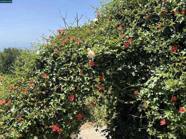 7618 Sunkist Dr, Oakland CA: https://media.crmls.org/mediaz/067e855d-3bb7-4109-97eb-109b426a6e4c.jpg