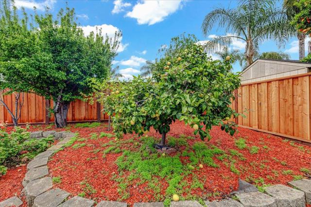 824 Acacia Avenue, Sunnyvale CA: https://media.crmls.org/mediaz/067eab44-7e2d-466e-bbc8-2ac0f29c435d.jpg