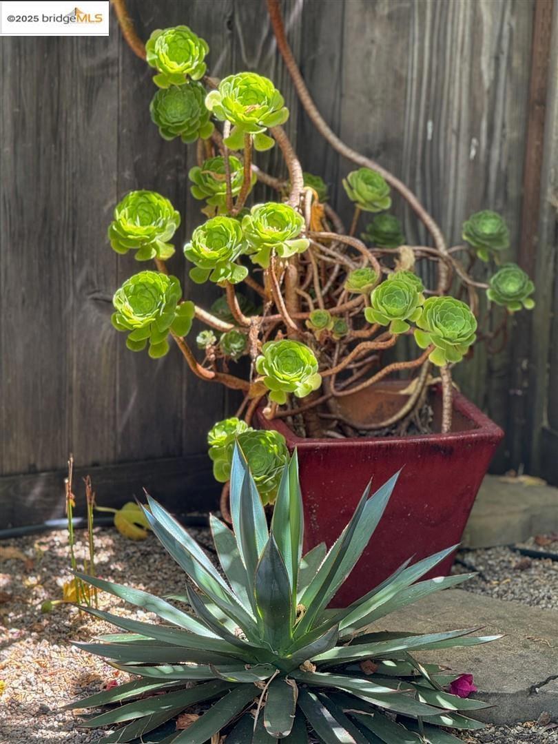 https://media.crmls.org/mediaz/06833013-b74a-4f1c-b17e-33f1ed9588cd.jpg?preset=X-Large