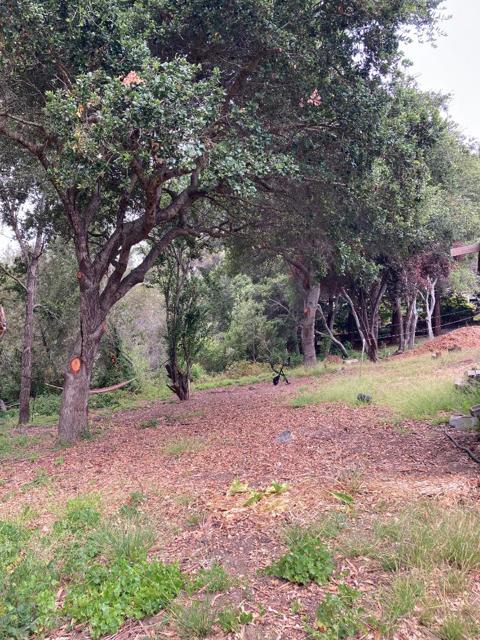 514 Meder Street, Santa Cruz CA: https://media.crmls.org/mediaz/068ae238-219d-4a8d-a32d-c36a885b09c7.jpg