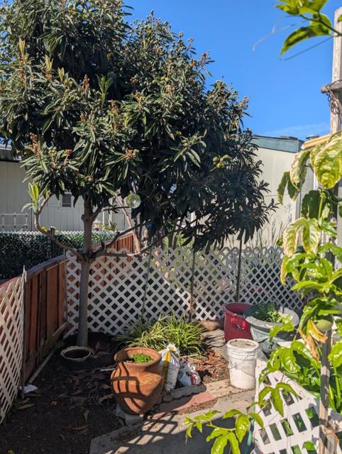 1201 Sycamore, Sunnyvale CA: https://media.crmls.org/mediaz/068e907f-0421-4e8f-8cdf-3e64121dd42e.jpg