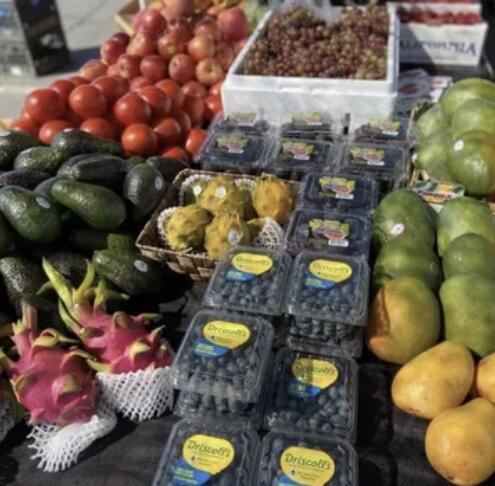 Image 21 of 41 For 74711 Dillon Rd Spc 1013