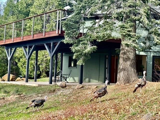 Detail Gallery Image 31 of 75 For 3413 Fern Meadow Rd, Palomar Mountain,  CA 92060 - 3 Beds | 3/1 Baths