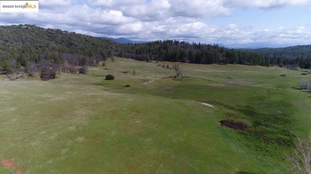 10488 Converse RD, Coulterville CA: https://media.crmls.org/mediaz/06a0e7ea-9254-4280-8807-a393ba8d2323.jpg