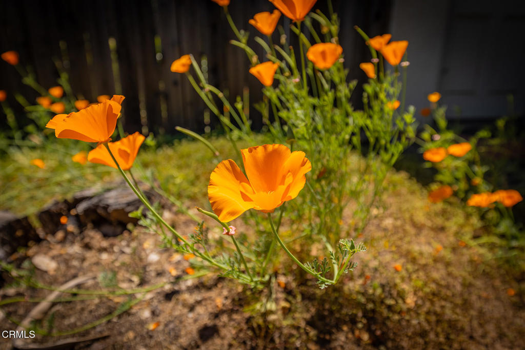 https://media.crmls.org/mediaz/06af9f4d-087c-4134-a3e3-31400c867498.jpg?preset=X-Large