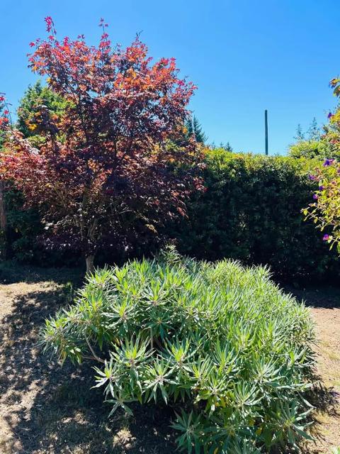 Image 19 of 24 For 520 Redwood Road