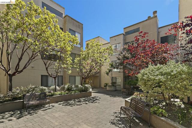 545 Pierce St, Albany CA: https://media.crmls.org/mediaz/06ca70e7-1068-4e07-8f79-457c322f5ac9.jpg