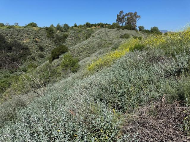 Detail Gallery Image 36 of 39 For 7907 Balcom Canyon Rd, Somis,  CA 93066 - – Beds | – Baths