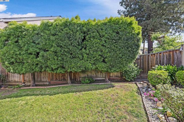 575 Blue Jay Dr, Hayward, California 94544, 3 Bedrooms Bedrooms, ,2 BathroomsBathrooms,Townhouse,For Sale,Blue Jay Dr,41059558