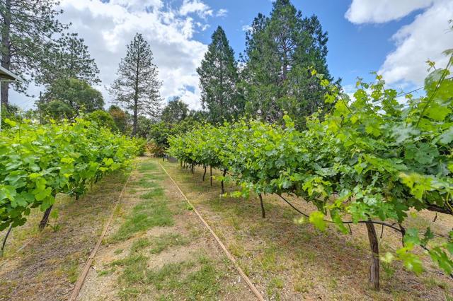 2640 Gayle Lane, Auburn CA: https://media.crmls.org/mediaz/06d09c41-afa7-4435-a5e7-f7e94e79cae3.jpg